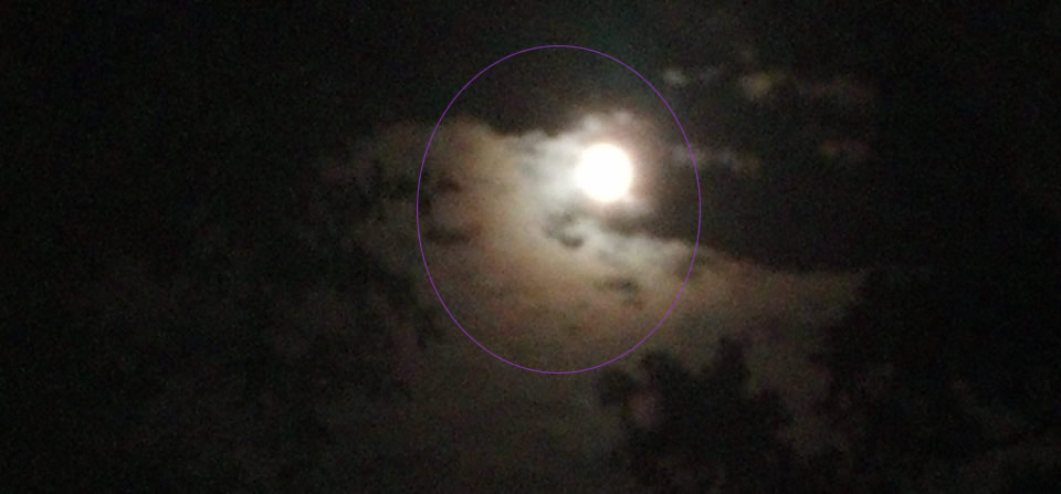I asked to meet Luna the Moon God – This is how the God appeared to me – The face is circled